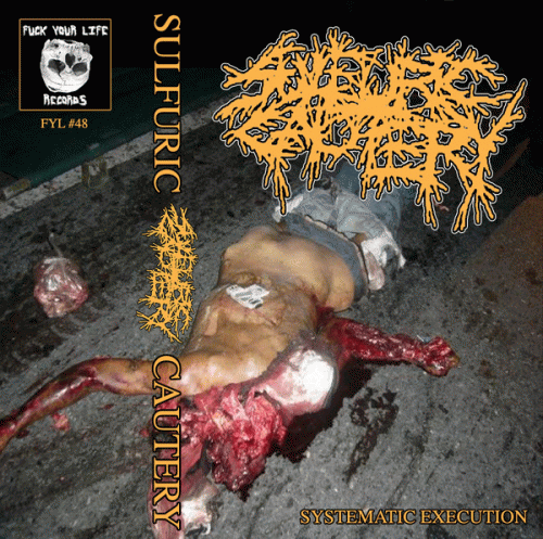 Sulfuric Cautery : Systematic Execution